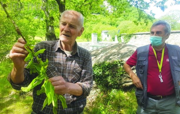 Castagneti, altri due anni di sofferenza
