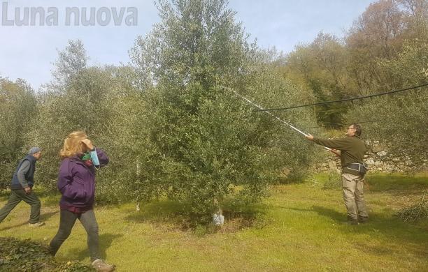 Borgone: addio concorso enologico, ora tocca all’olio