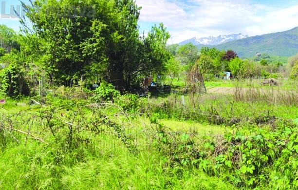 Buttigliera,  al via l’assegnazione degli orti