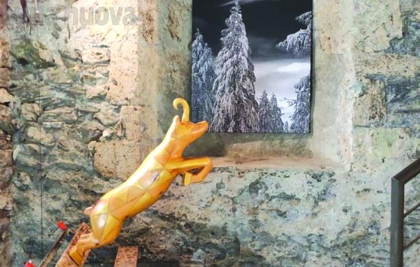 Daniele Barbier, 30 anni di legno e fotografia