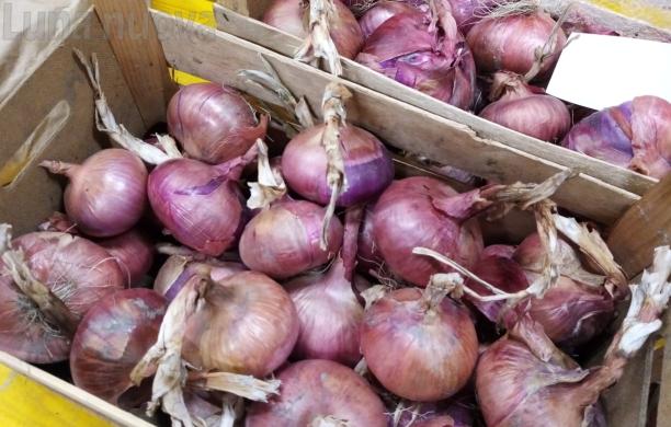 Cipolla rossa insieme a patata e toma: la nuova sfida di Novalesa