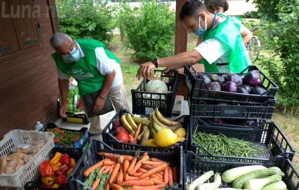 Grugliasco, in sei mesi recuperate 4 tonnellate di cibo