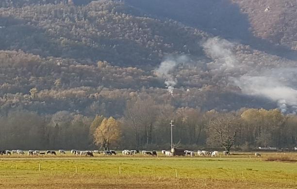 Fuochi vietati, la rivolta dei castagni valsusini