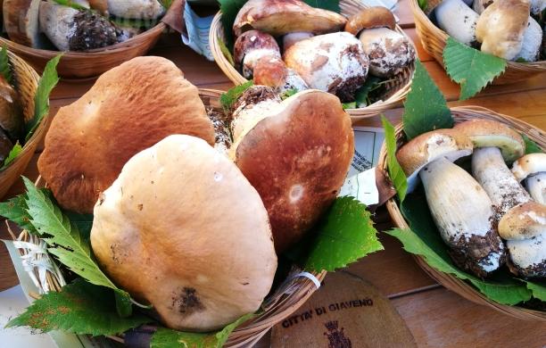 Giaveno, una gara di torte dedicate al fungo  