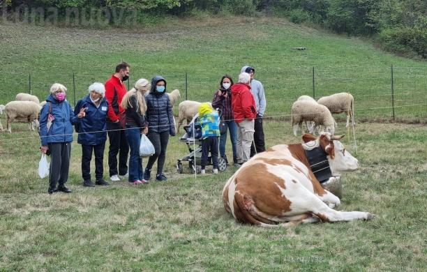 Fiera Franca di Oulx, fra Covid e lacrime