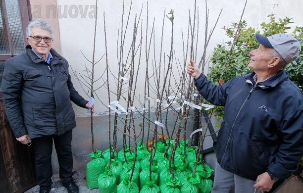 La prima Festa della Mela di Venaus porta in dote l'Associazione fondiaria
