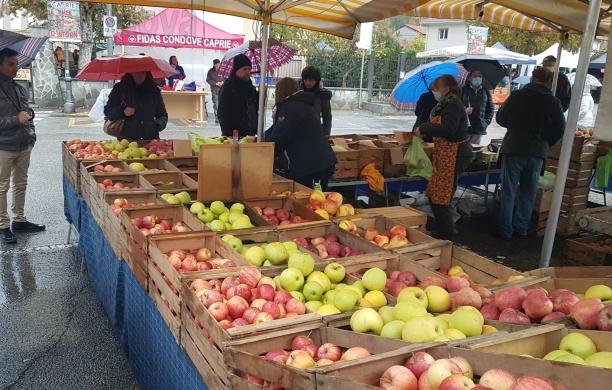 Caprie, mela semibagnata: per la fiera una ripartenza a metà