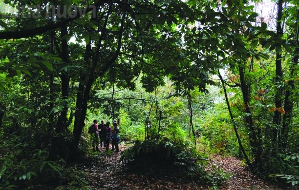 Rivalta, terreni donati in difesa della collina