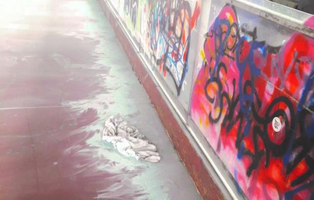Rivoli, vandali in azione sulla pista di pattinaggio