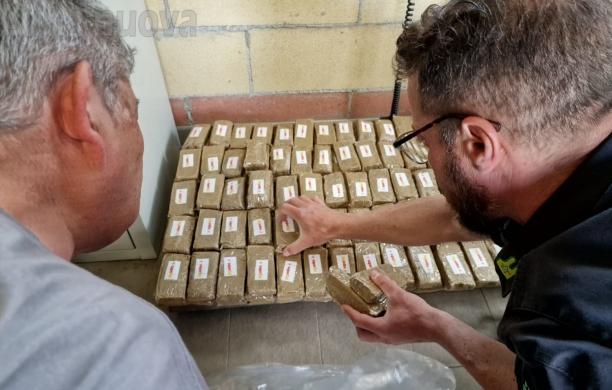 Piossasco, hashish nella cantina: arrestata