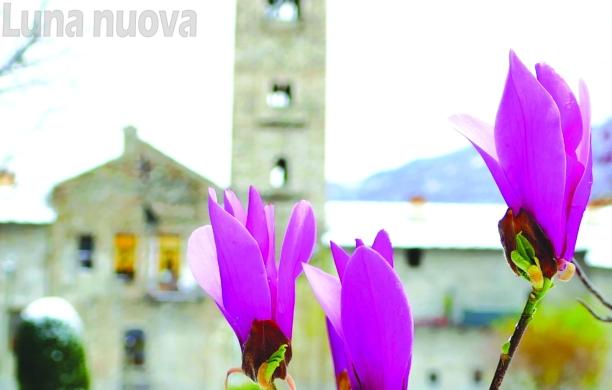 La mia foto alla Luna-Primavera: la "Neve d’aprile" è la ciliegina di Daniela