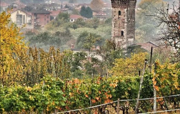 Almese si veste di "Baratuciat, Vitigno DiVino"
