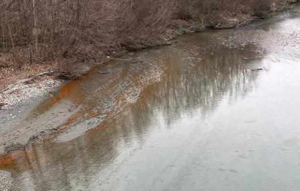 L’area della Dora in cui nei giorni scorsi sono stati avvistati i batteri (foto Cristina Converso)
