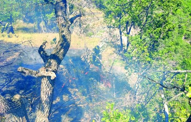 Fuoco, torna la paura alle falde del Rocciamelone