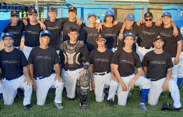 Bees e Rebels insieme per l’assalto alla Coppa Under 18