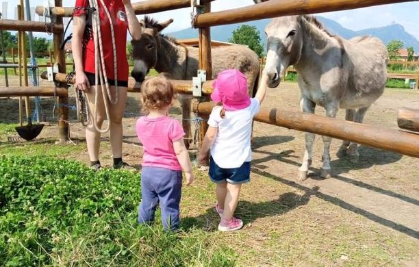 Avigliana, festa della vendemmia di Egiivo 