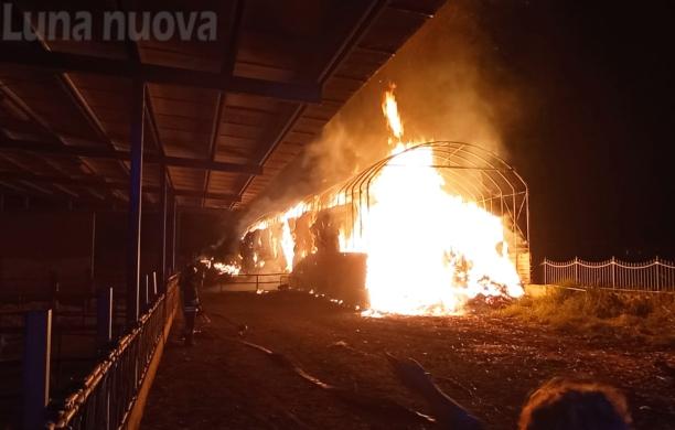 Collegno, fiamme nella notte: a fuoco il fienile