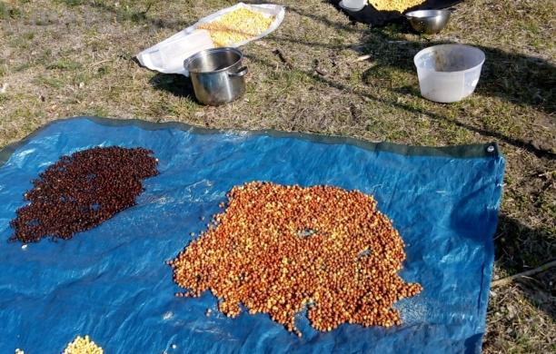S.Didero: l’anno zero della "Sagra dei ceci"