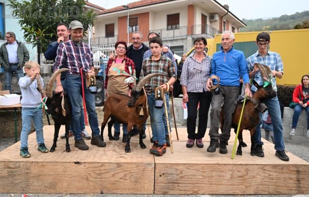 Coazze, Festa del cevrin: un altro record