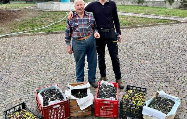 Avigliana, l’olio di Nicolò: pensato per gioco, diventa tradizione