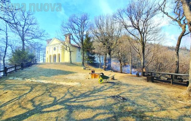 Caselette, 10mila nuove piante per il Musinè