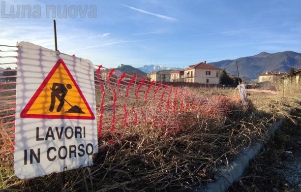 Avigliana, nel bosco urbano spuntano i dubbi