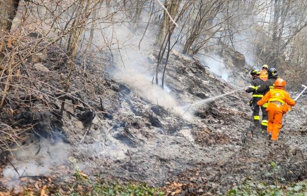 Boschi a fuoco in bassa valle di Susa, ancora una volta