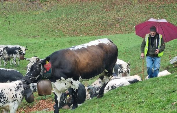 Transumanza sotto la pioggia, ma il vero problema è la siccità