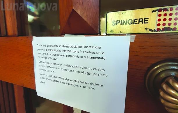 Rivoli, via i piccioni dalla chiesa