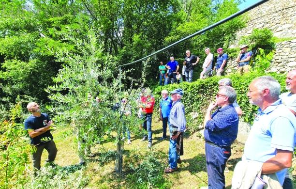 A Borgone è "Sagra dell’Olio": week-end di festa tra musica e cibo