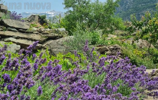 Venaus, il miracolo dell'olio del Parore