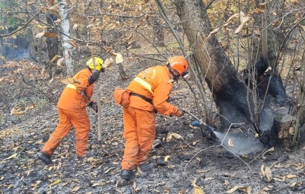Mattie, in fiamme all'alba i castagni secolari