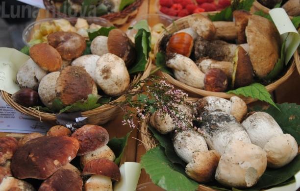 Giaveno, Fungo in Festa: un fine settimana goloso