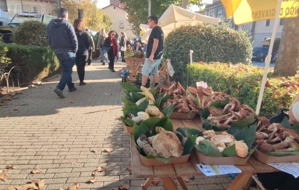Giaveno, è la domenica di Fungo in Festa 