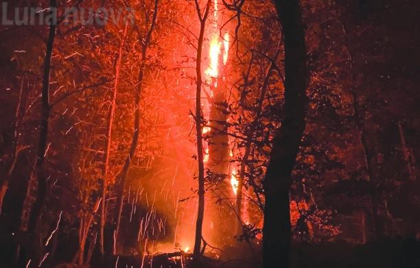 "La mia foto alla Luna-Arancione": il bis di Daniele Tonda è una fiamma nella notte 