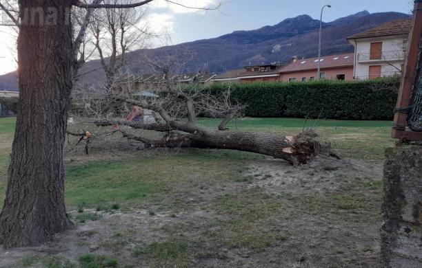Vento, l'eredità salata di dicembre a Bussoleno