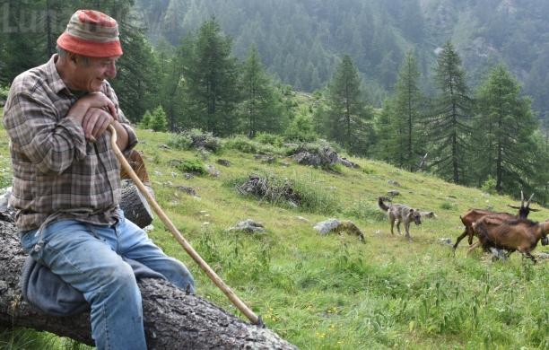 Giampiero Arnaud: 50 anni da margaro a Mattie