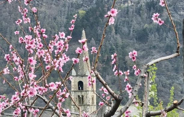 "La mia foto alla Luna": la primavera si tinge di rosa