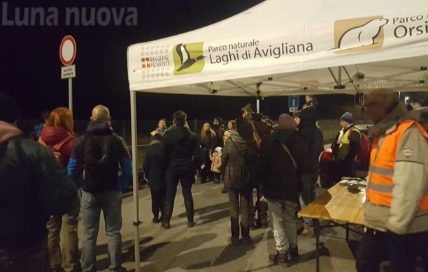 Avigliana, Il ‘safari’ notturno tra rospi e rane
