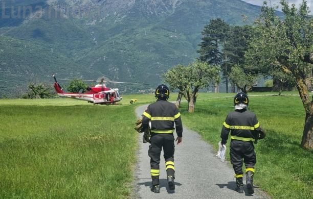 Bussoleno: muore una vacca della Balmetta