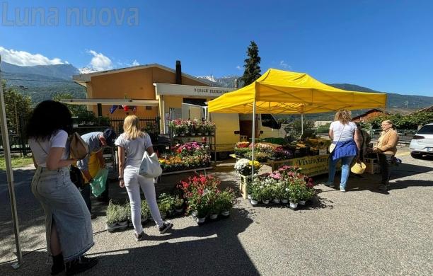 Foresto adesso ha il suo mercato