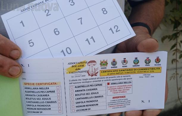 Giaveno senza micologo. I boulajour di Crisafi si certificano i funghi da soli