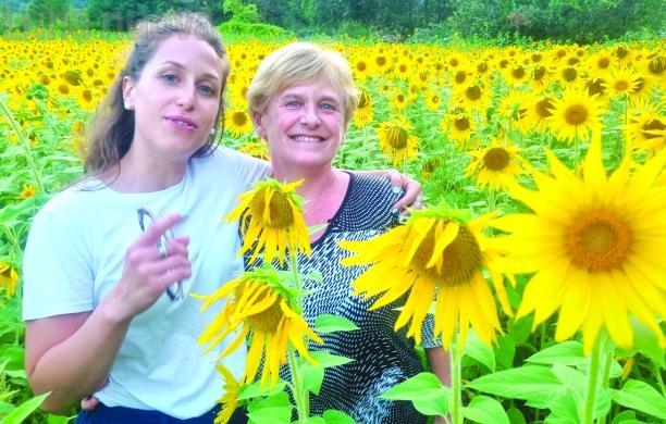 Venaus: splende il girasole sull’estate valsusina