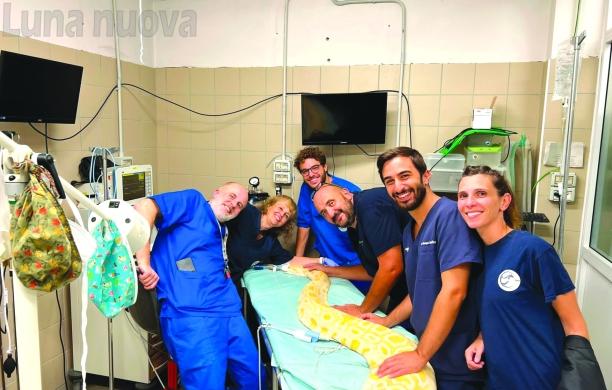 Vita e miracoli del Canc di Grugliasco, magico pronto soccorso degli animali