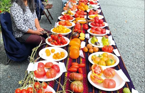 Piossasco saluta l'estata con la Festa degli orti