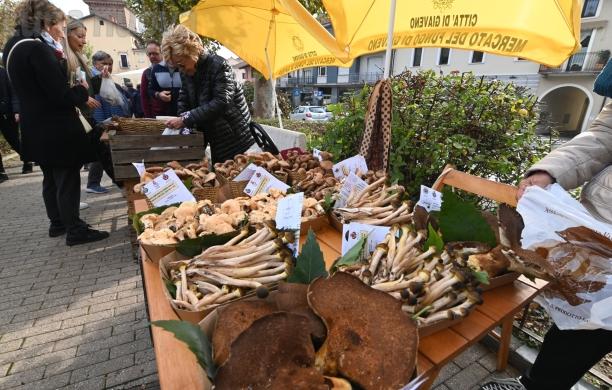 Giaveno, la domenica infuocata del fungo