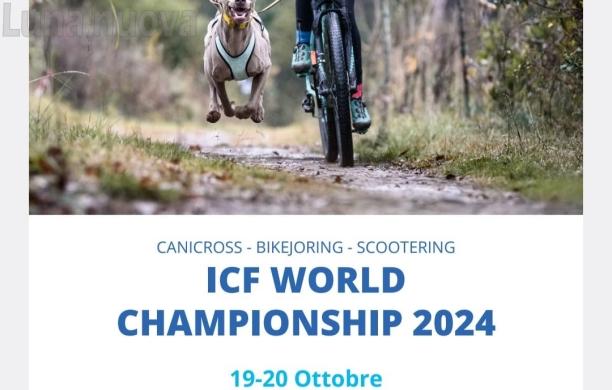 Bardonecchia: Canicross, un evento Mondiale