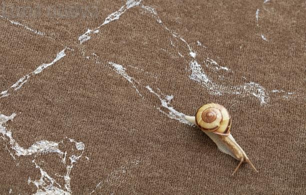 Al Castello l’arte che aiuta la natura