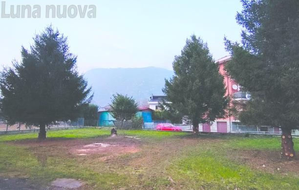S.Antonino, presto la nuova area cani: abbattuti due alberi, è polemica