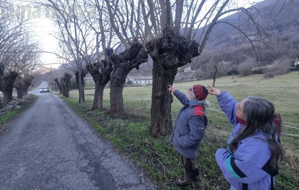 Villar Focchiardo: i gelsi di cascina Comboira tra i Luoghi del Cuore Fai